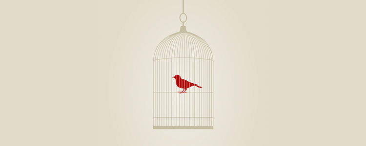 ddos压力在线测试平台